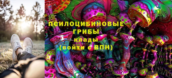прущий лед Алексин