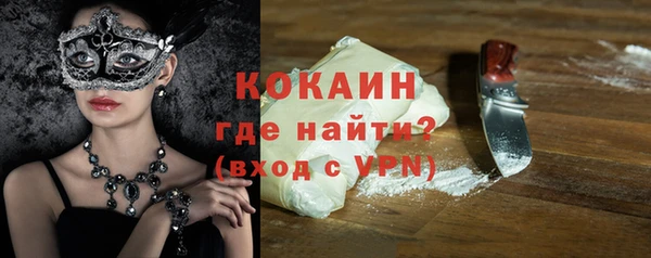 соль ск Алзамай